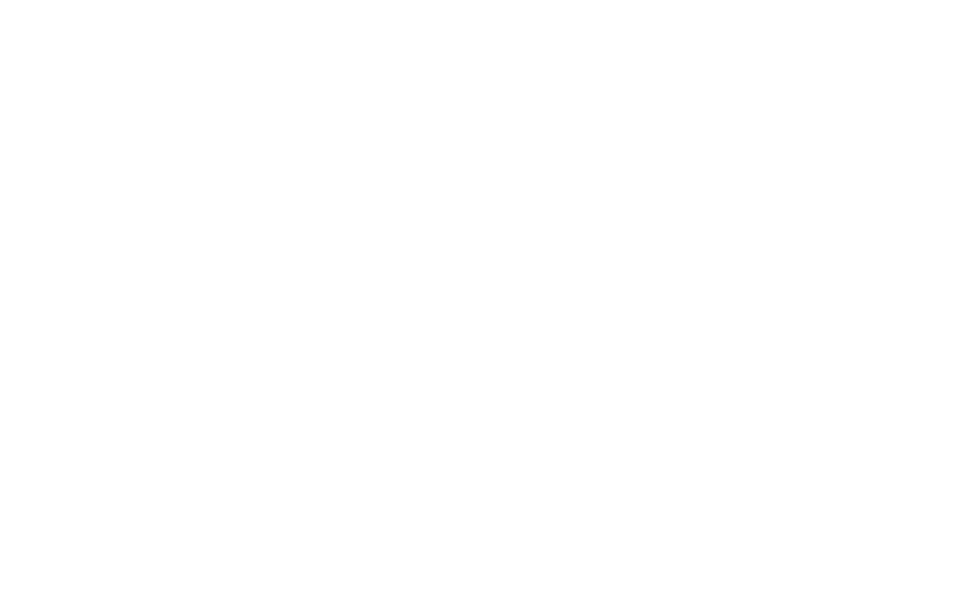 BELLA SHOES